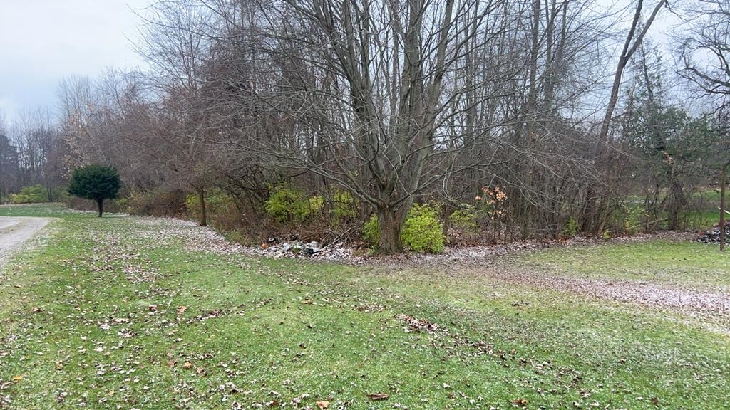 Woodlawn Avenue Property Photo 1