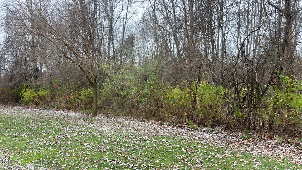 Woodlawn Avenue Property Photo 3