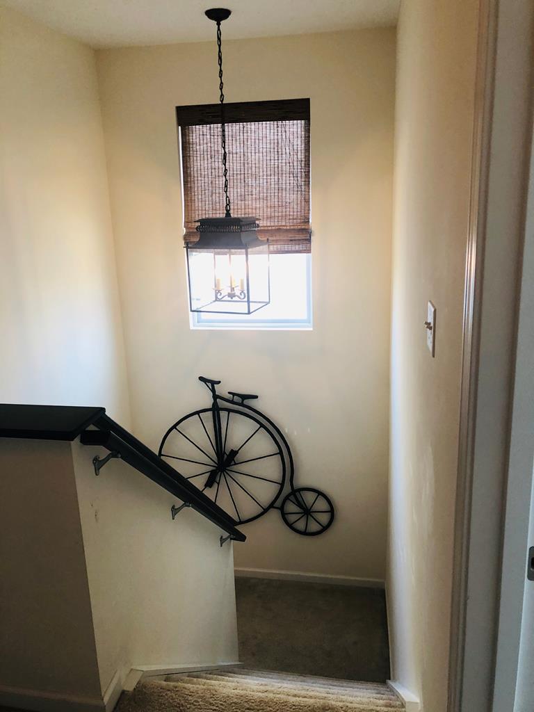 51 Henderson Road Property Photo 25