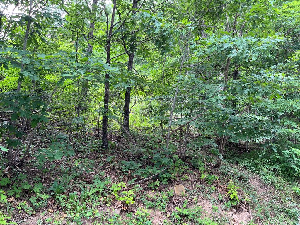 2295 Keiser Road Property Photo 4