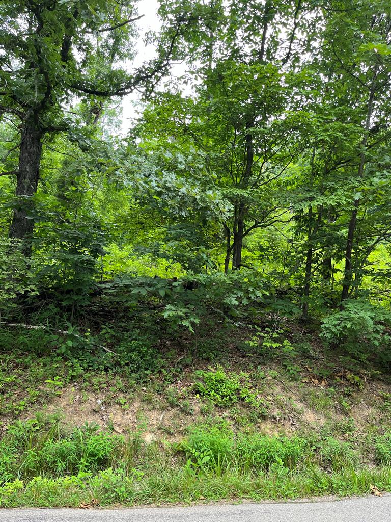 2295 Keiser Road Property Photo 6