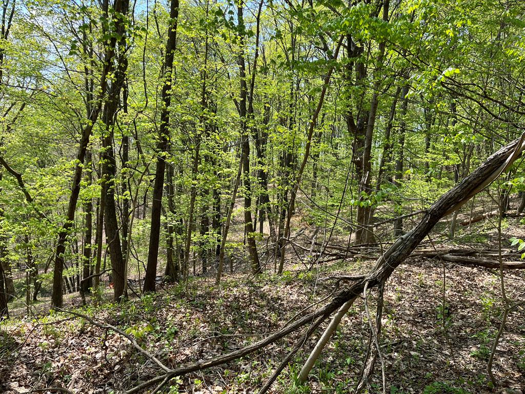 2295 Keiser Road Property Photo 8
