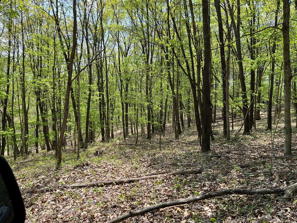 2295 Keiser Road Property Photo 9