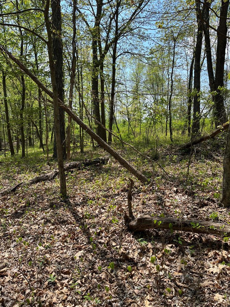 2295 Keiser Road Property Photo 11