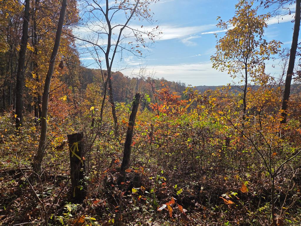 2295 Keiser Road Property Photo 12