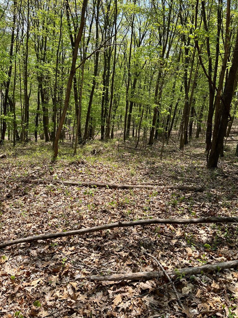 2295 Keiser Road Property Photo 13