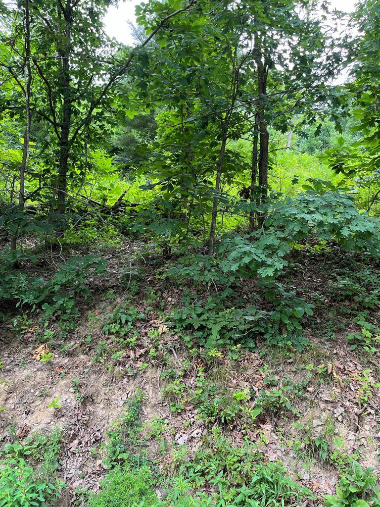 2295 Keiser Road Property Photo 17