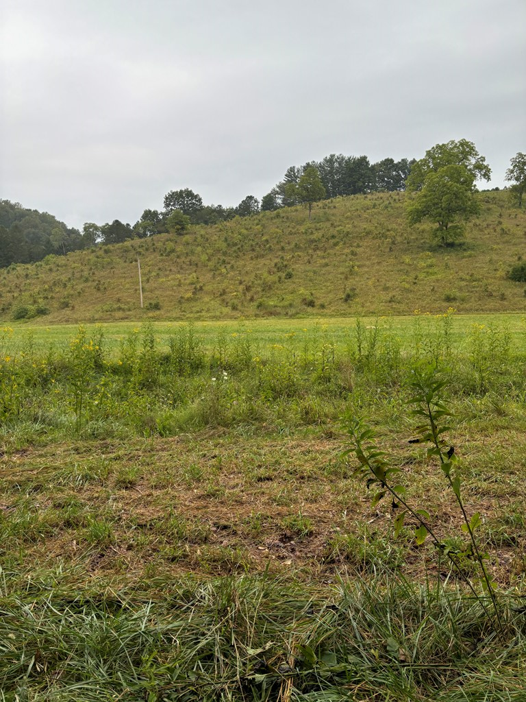 31435 Stevens Branch Rd Property Photo 2