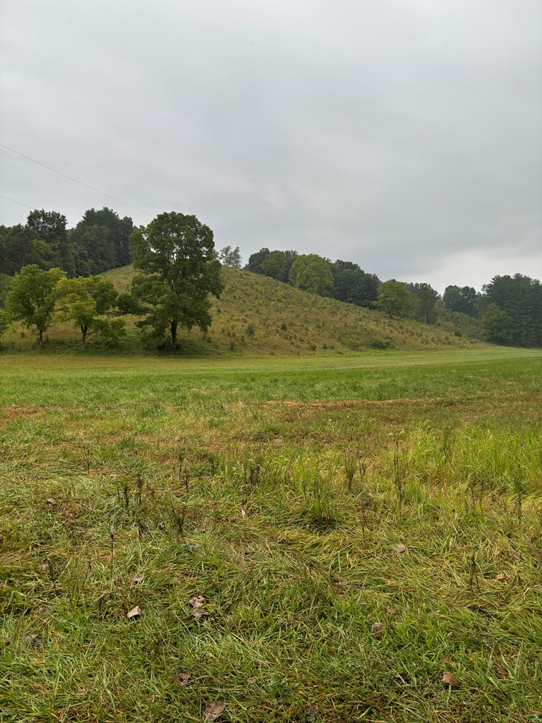 31435 Stevens Branch Rd Property Photo 5