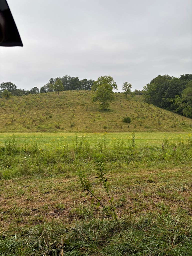 31435 Stevens Branch Rd Property Photo 5