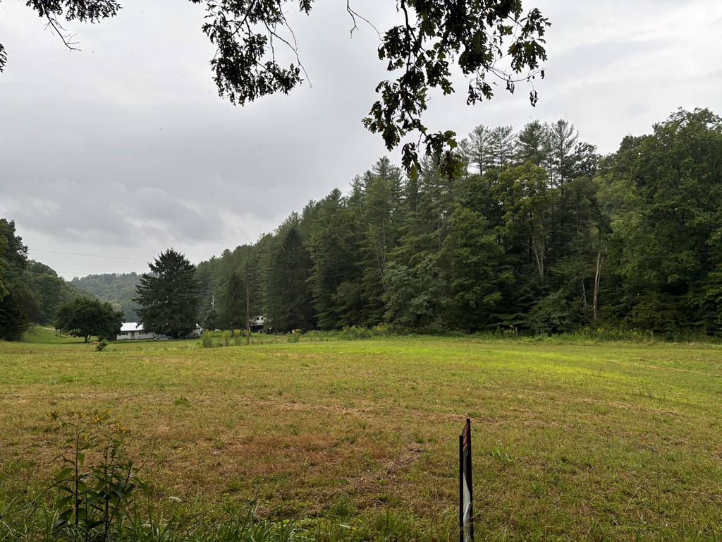 31435 Stevens Branch Rd Property Photo 3