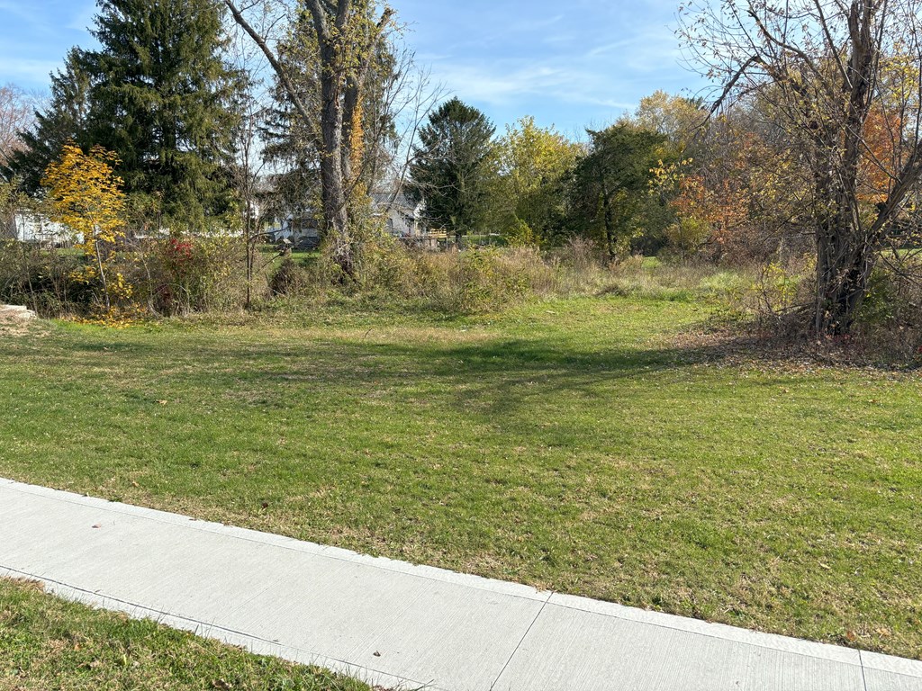 Lot J Main Street Property Photo 3