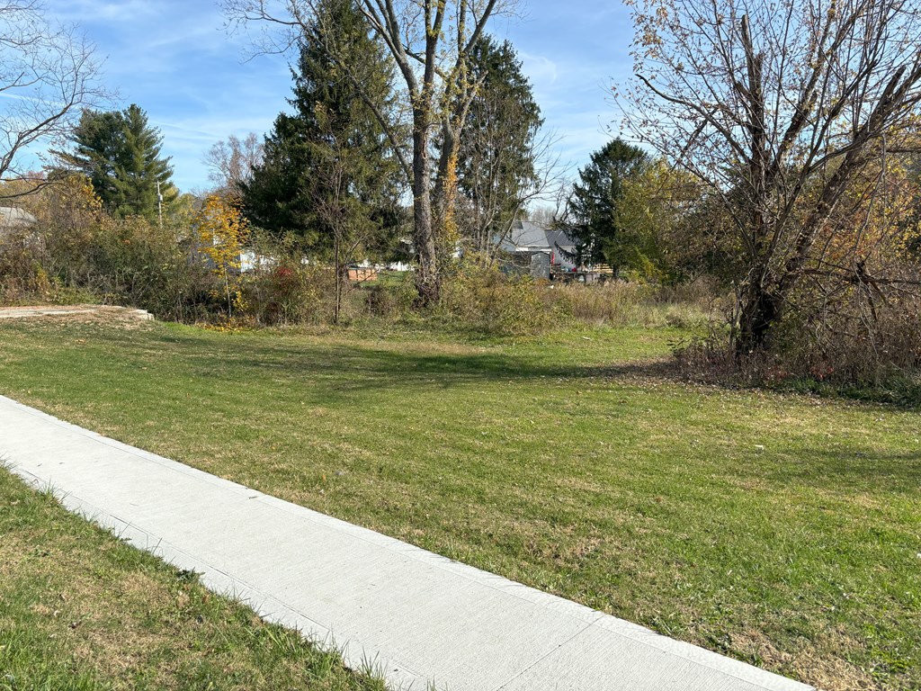 Lot J Main Street Property Photo 4