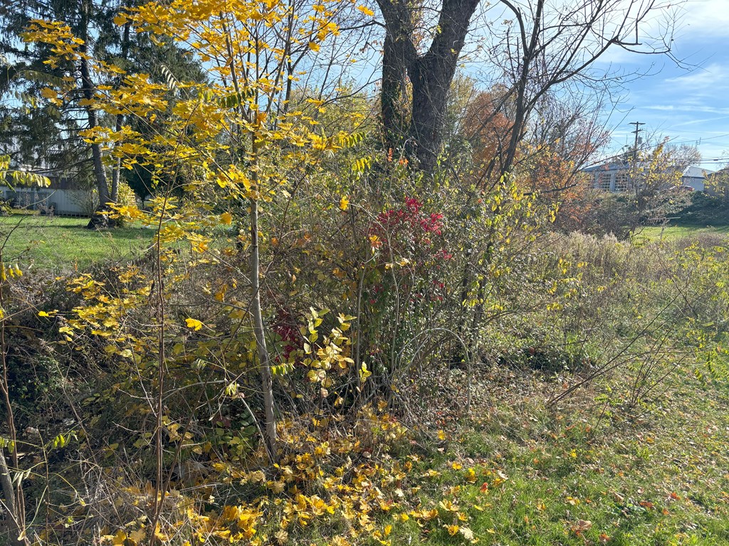Lot J Main Street Property Photo 6