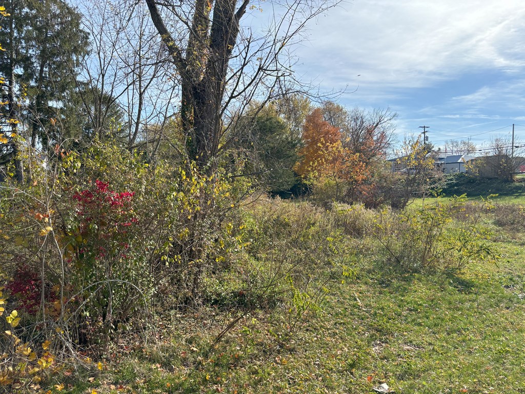 Lot J Main Street Property Photo 7