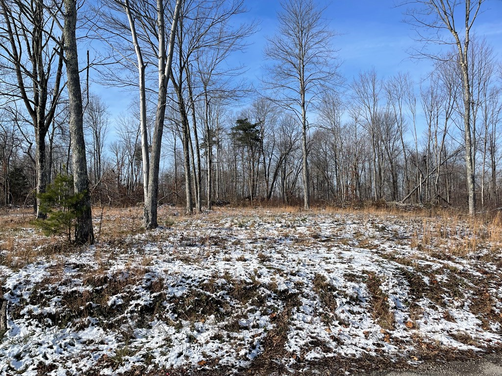 0 Beavers Ridge Road Property Photo 4