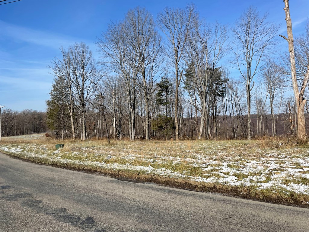 0 Beavers Ridge Road Property Photo 8