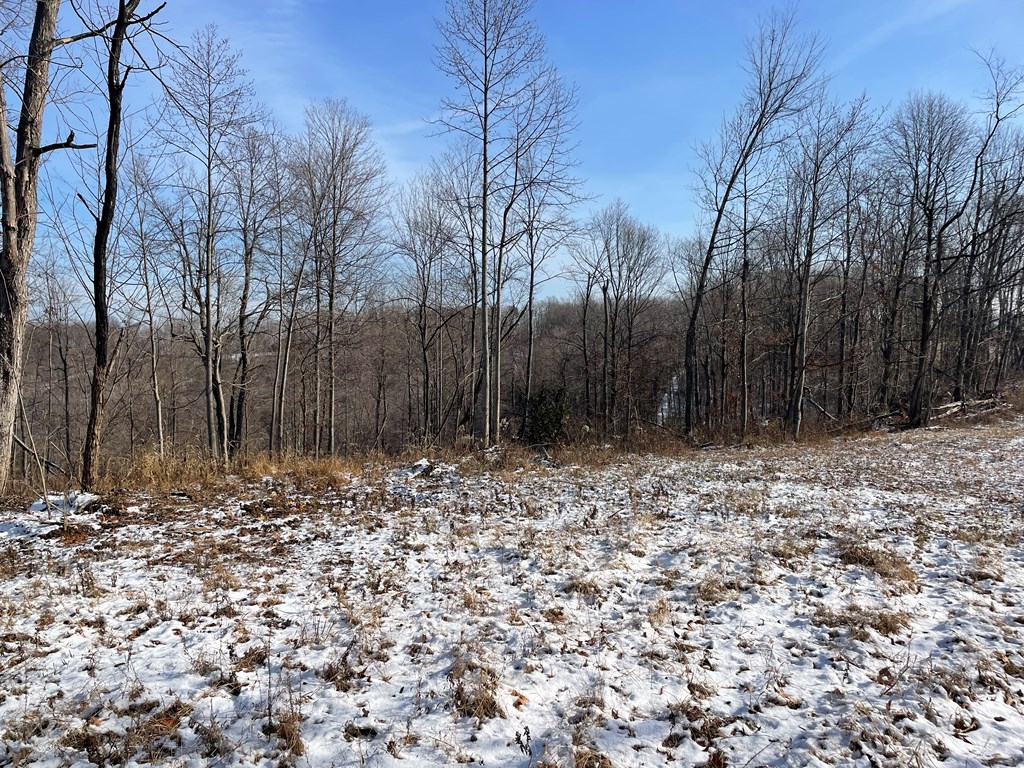 0 Beavers Ridge Road Property Photo 9