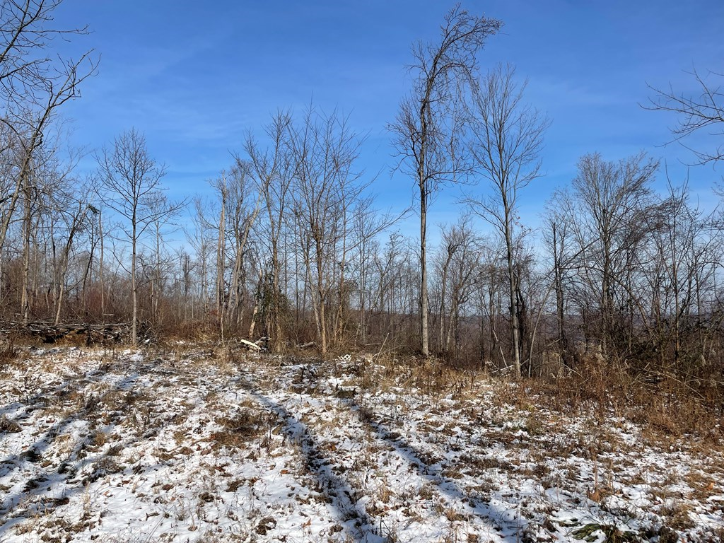 0 Beavers Ridge Road Property Photo 10