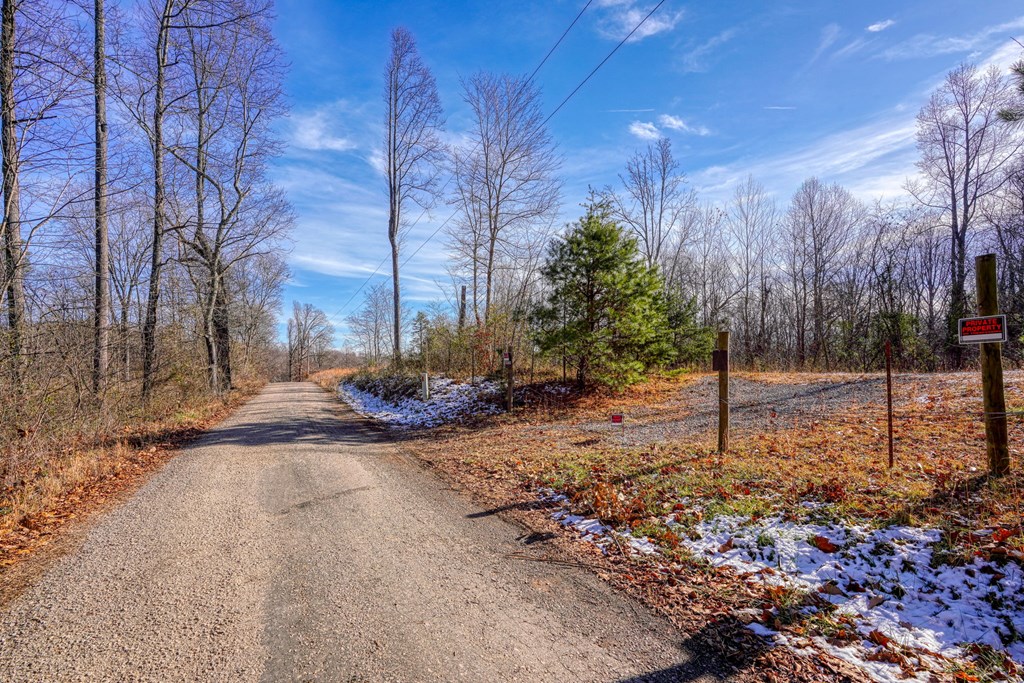 0 W Tr 4 Property Photo 6