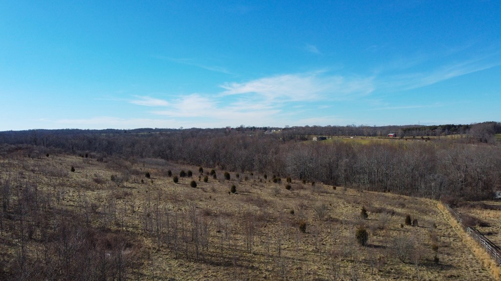 948 Big Bear Creek Road Property Photo 13