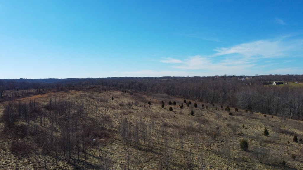 948 Big Bear Creek Road Property Photo 14