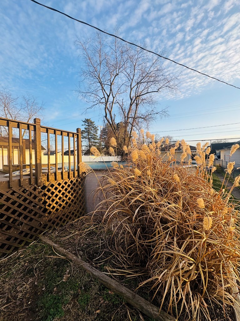 554 Laurel Street Property Photo 7