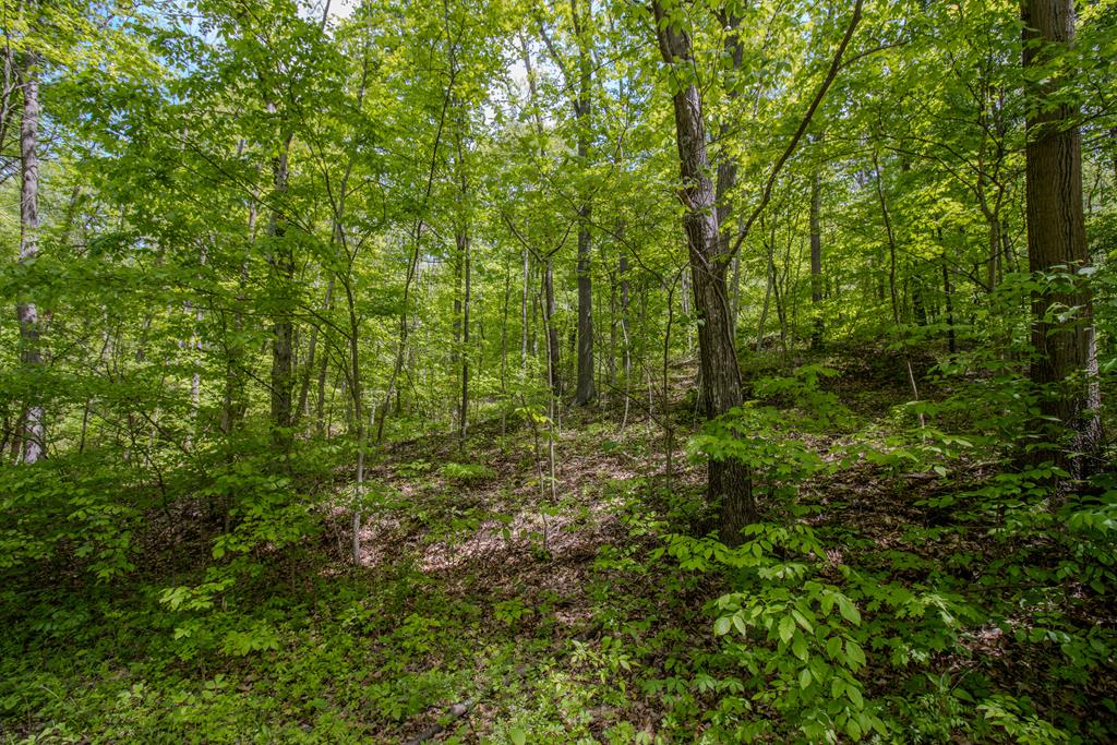 0 Kinzer Road Property Photo 1