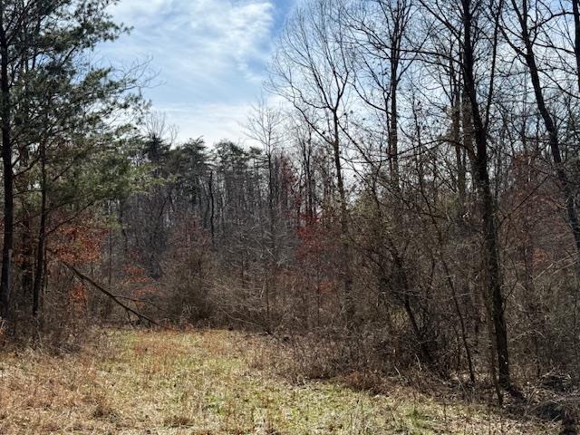 East Side State Route 335 Property Photo 1