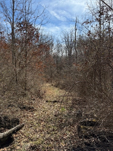 East Side State Route 335 Property Photo 7