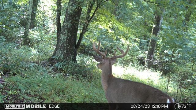 East Side State Route 335 Property Photo 10