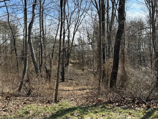 East Side State Route 335 Property Photo 14