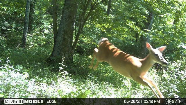 East Side State Route 335 Property Photo 17