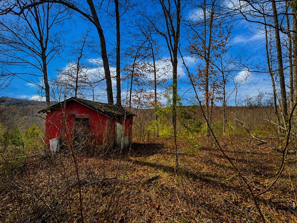 799 Woodruff Road