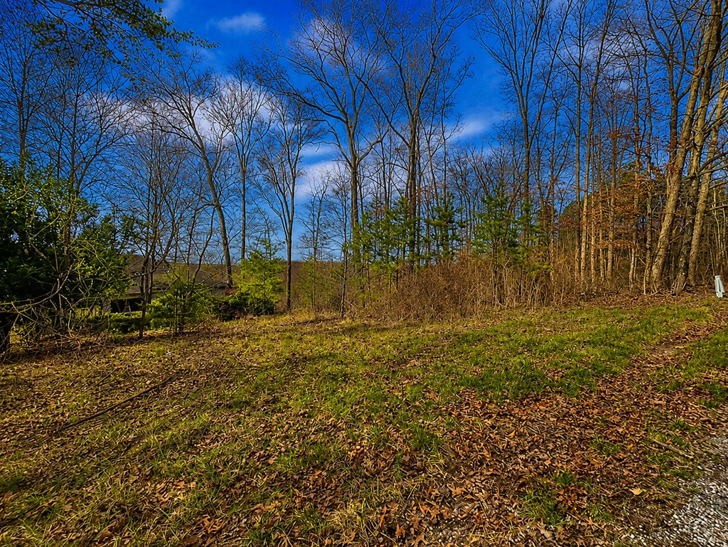799 Woodruff Road Property Photo 2