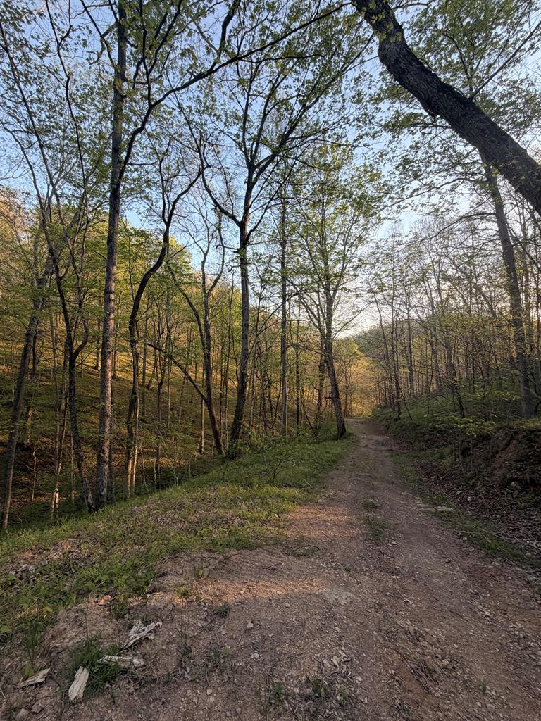 950 Scenic Drive Property Photo 1