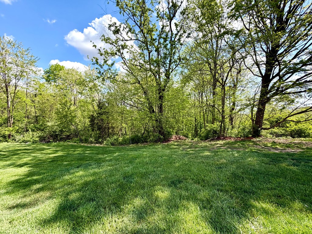 3210 Egypt Pike Property Photo 24