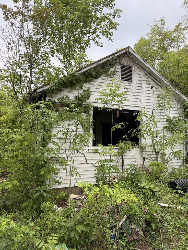 130 Pleasant Ridge Road Property Photo 6