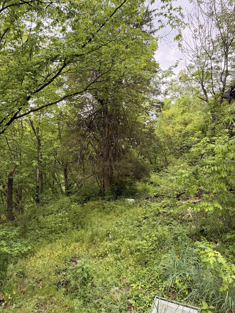 130 Pleasant Ridge Road Property Photo 8