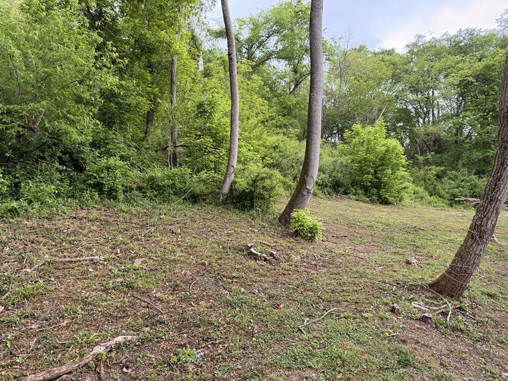 130 Pleasant Ridge Road Property Photo 13