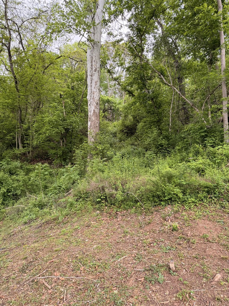 130 Pleasant Ridge Road Property Photo 14
