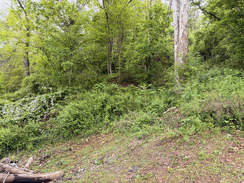 130 Pleasant Ridge Road Property Photo 15