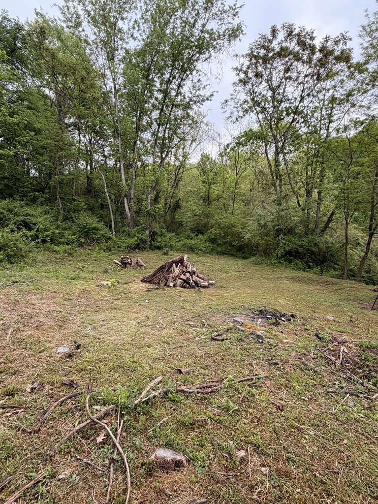 130 Pleasant Ridge Road Property Photo 16