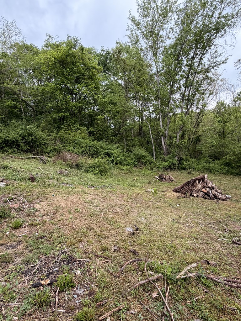 130 Pleasant Ridge Road Property Photo 17