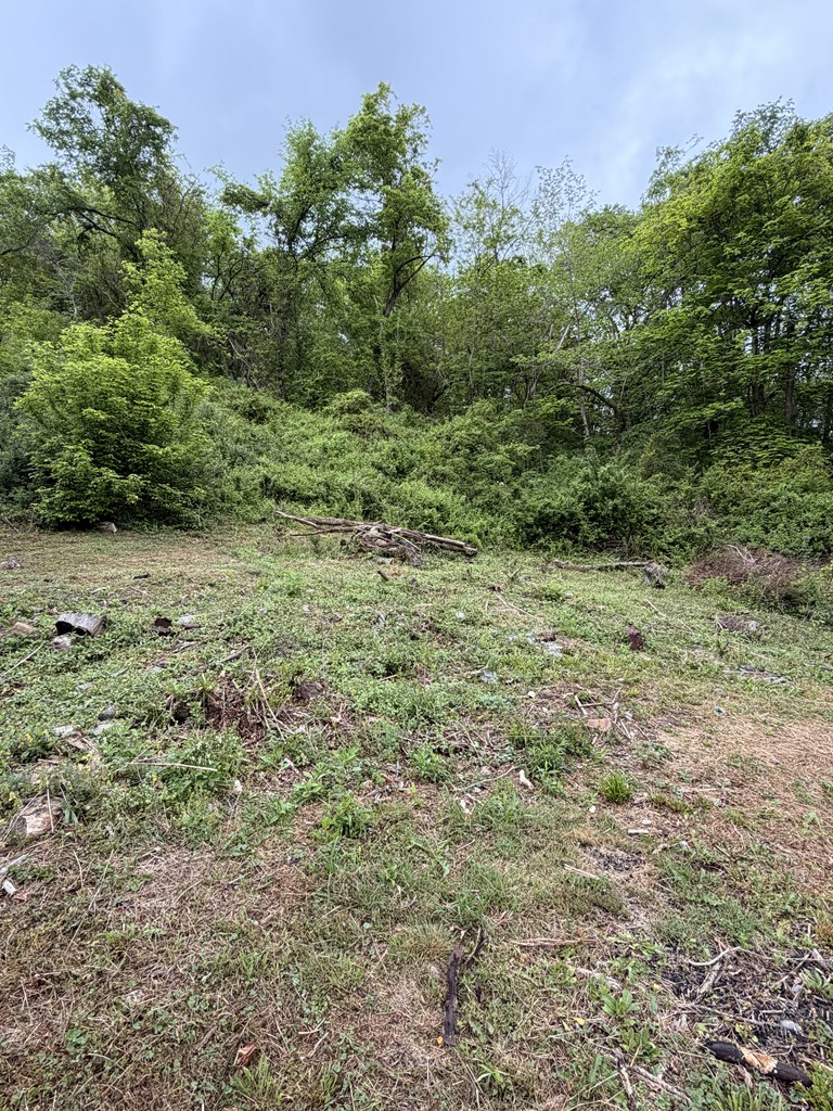 130 Pleasant Ridge Road Property Photo 18