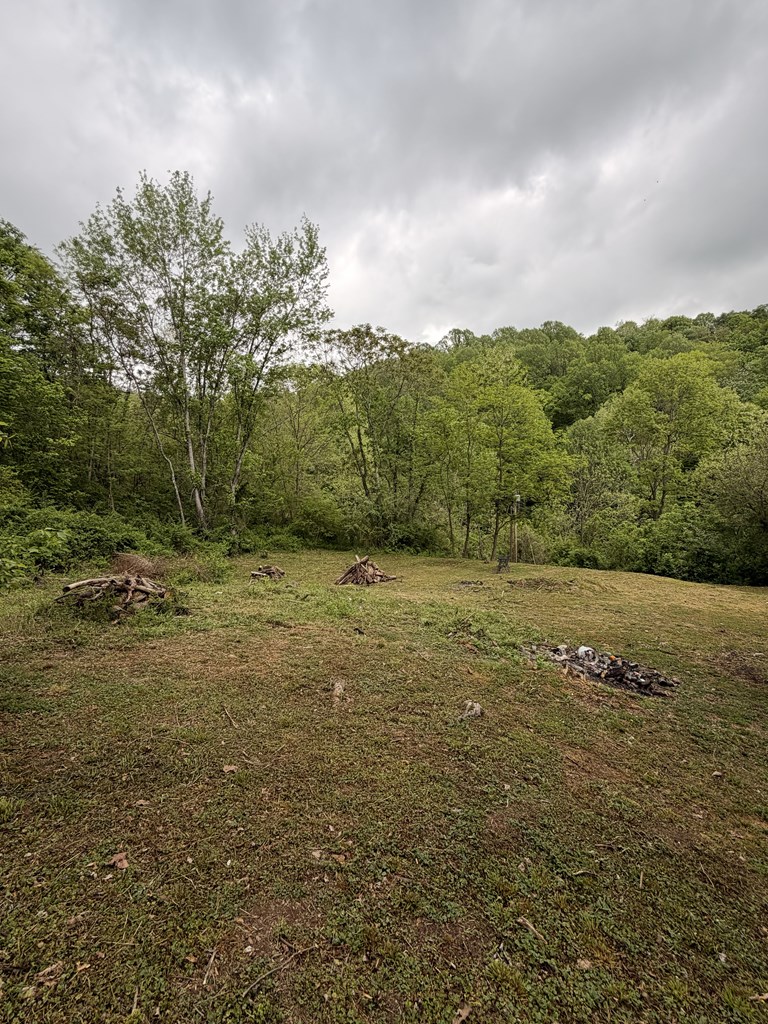 130 Pleasant Ridge Road Property Photo 19