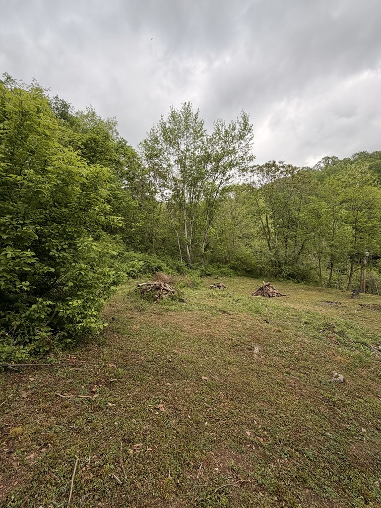 130 Pleasant Ridge Road Property Photo 20