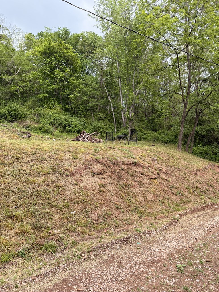 130 Pleasant Ridge Road Property Photo 22