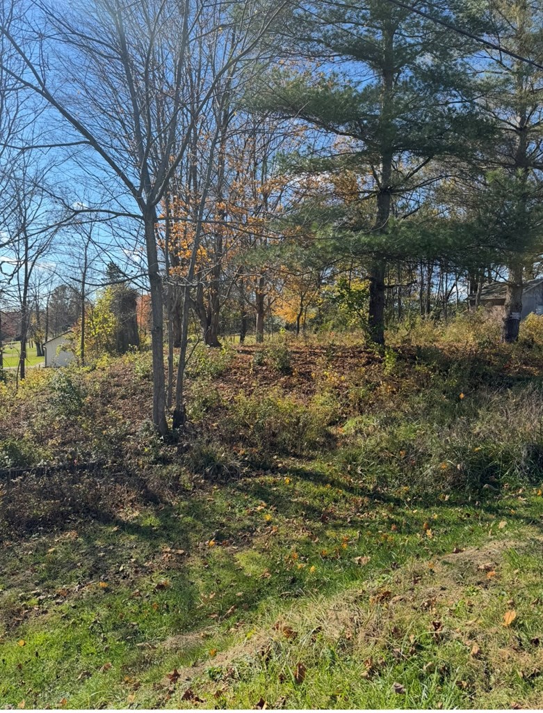 989 Howard Road Property Photo 2