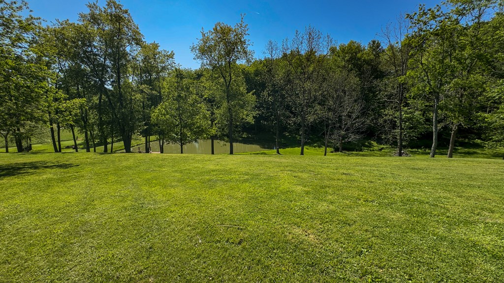 111 Ed Michael Drive Property Photo 26